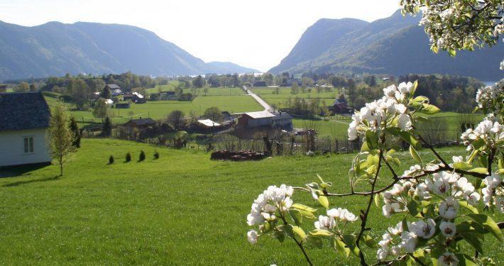 Hoiland Gard Gardshotellet Hjelmeland ภายนอก รูปภาพ